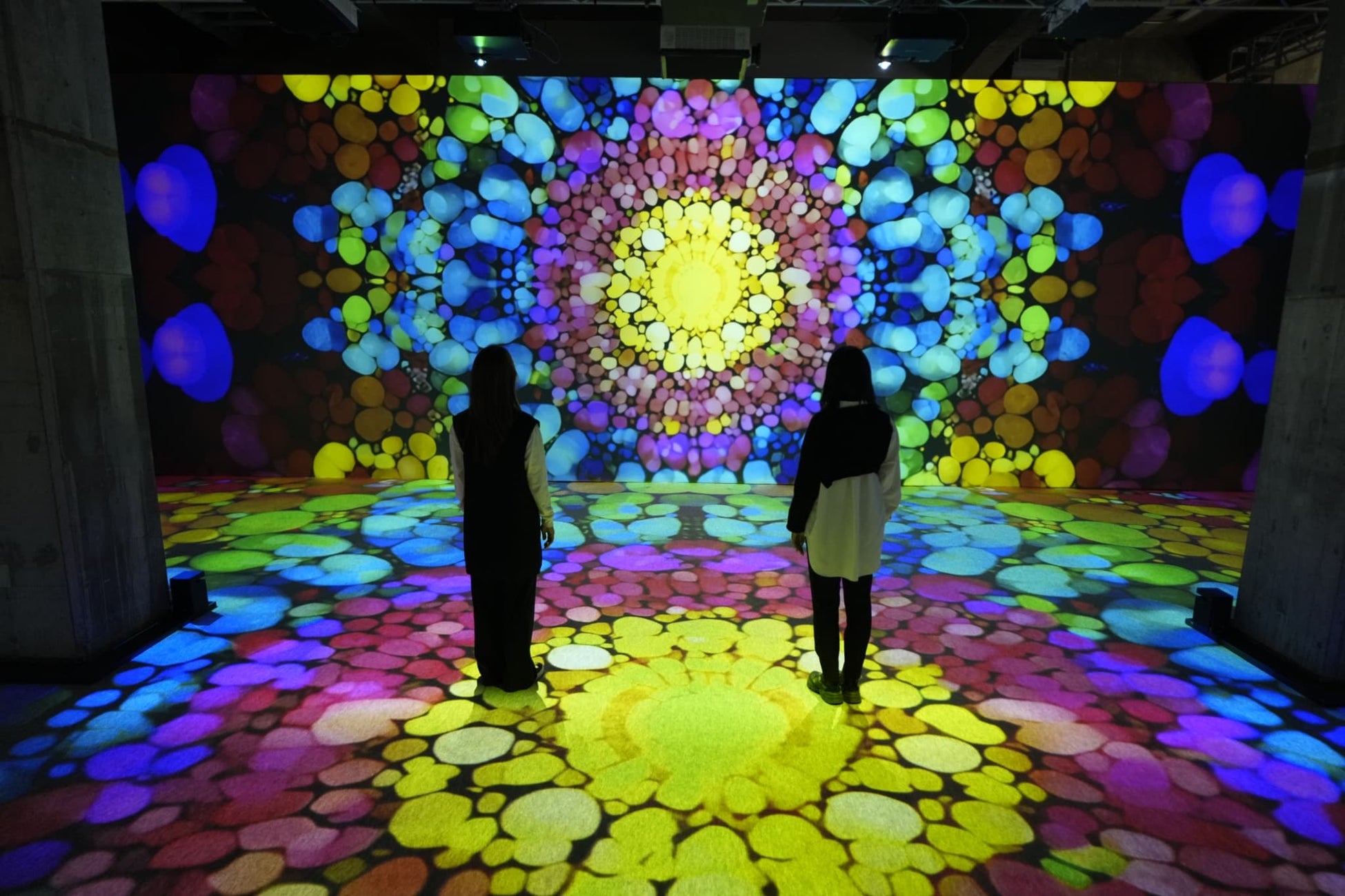 会期1カ月も経たず「NAKED meets ガウディ展」動員5万人達成！