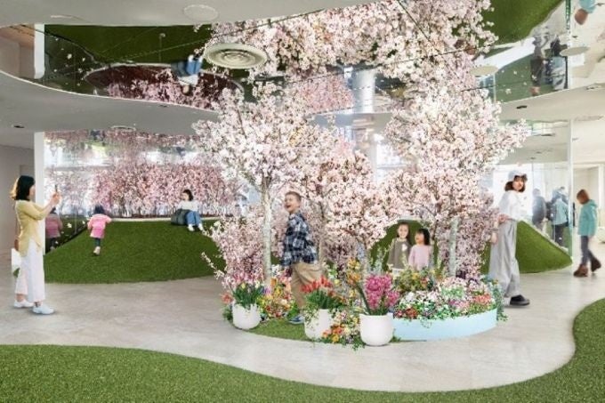 日本で一番早い開花宣言！？花粉を気にせず屋内でお花見気分♪『てんぼうパーク　さくらまつり』夜間限定で提灯を持って特別な春の記念撮影も！*2月26日（木）～5月10日（日）*