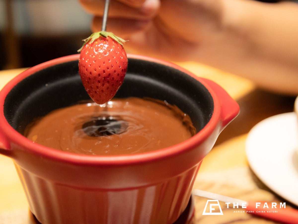 【2/1～2/28】摘みたていちごをお部屋に持ち帰ってチョコフォンデュ。農園リゾートTHE FARMのバレンタイン期間限定の宿泊プラン販売開始