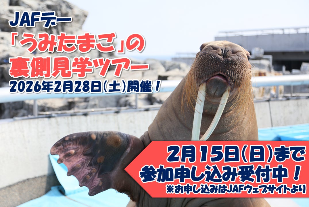 【JAF大分】大分マリーンパレス水族館「うみたまご」で、裏側見学ツアーを開催！普段は見られない「うみたまご」のバックヤードを覗いてみよう！