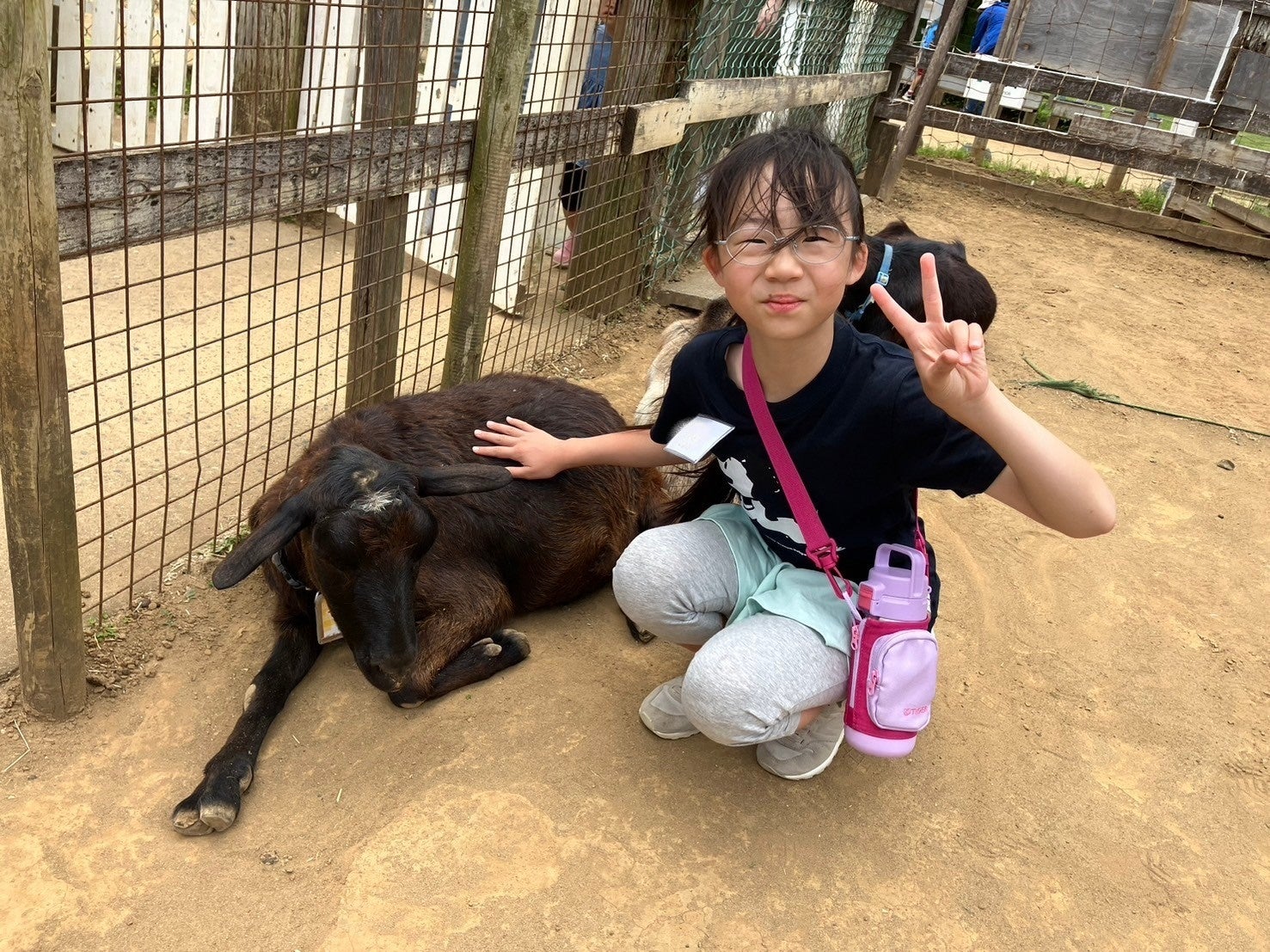 【こどもの休日の過ごし方】春の１dayキャンプ　～バター作り＆トロッコ列車＆アスレチック編～