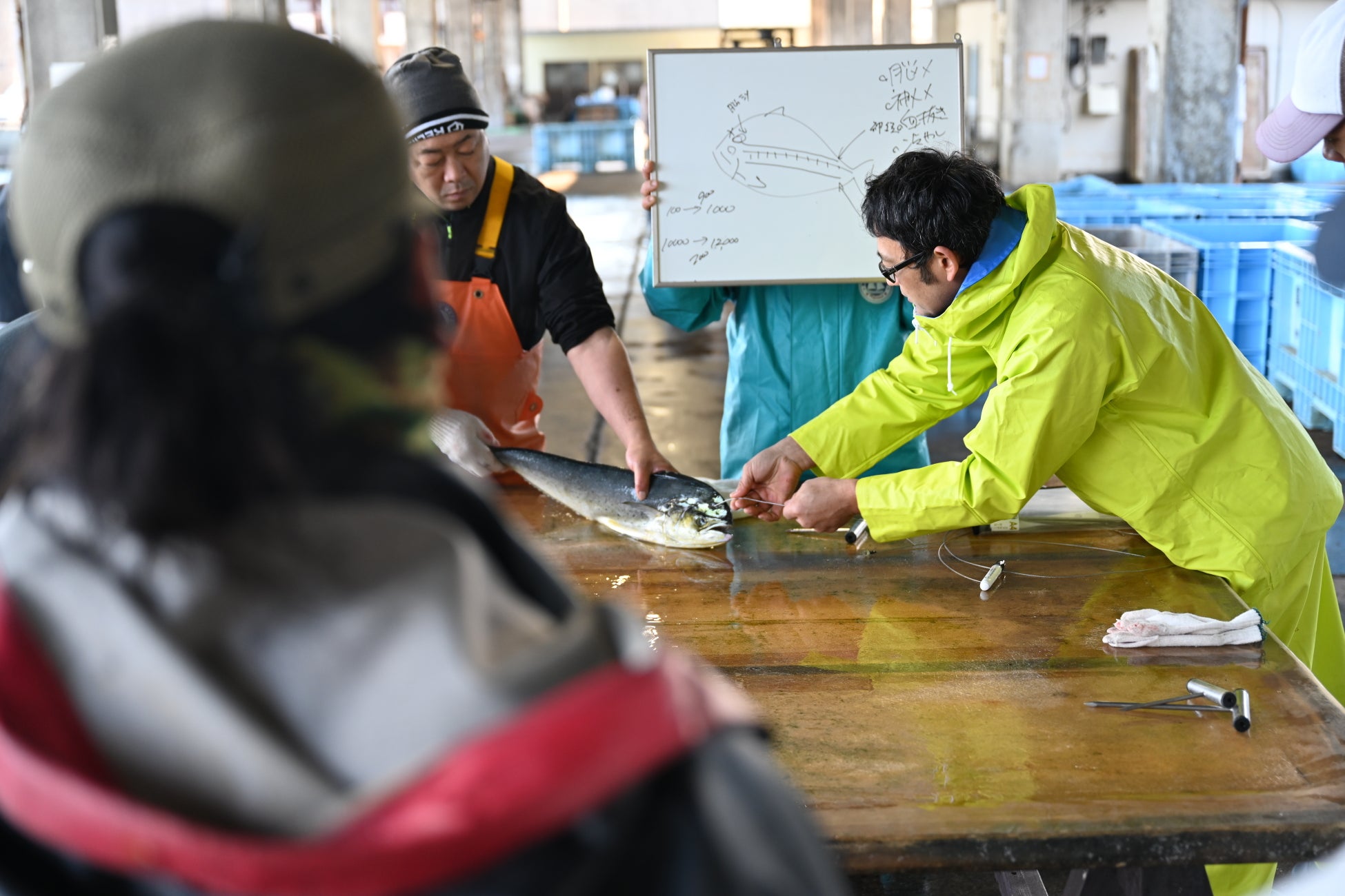 漁業×観光の力で「稼げる漁村」へ。官民一体で取り組む「神経締めの究極鮮度」を武器にした地域再生プロジェクトを本格始動。2月・京都で品評会を開催