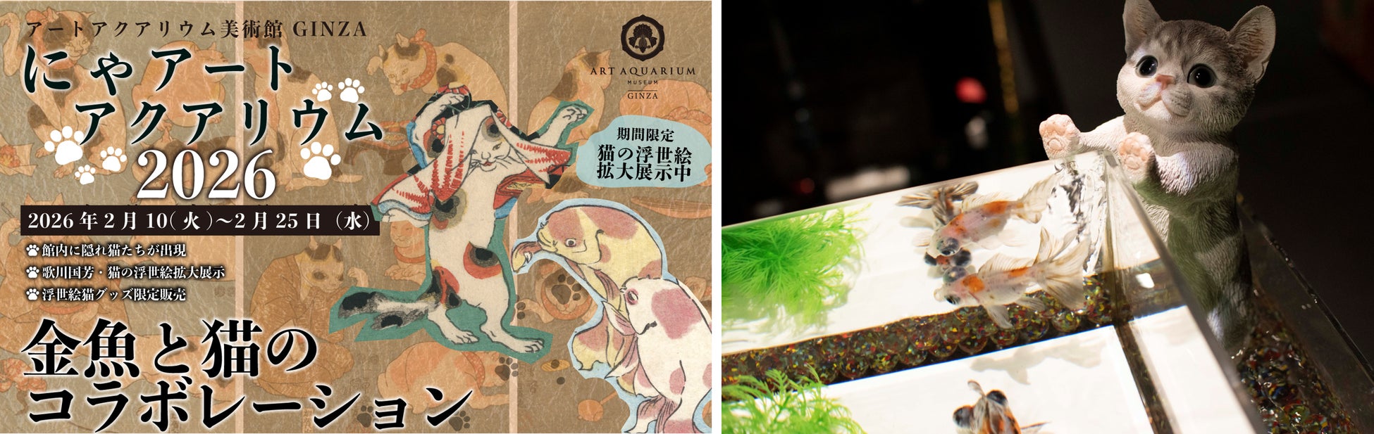 “にゃアートアクアリウム美術館?!” 2月22日は猫の日！2月10日～25日は、館内に猫出没⁈