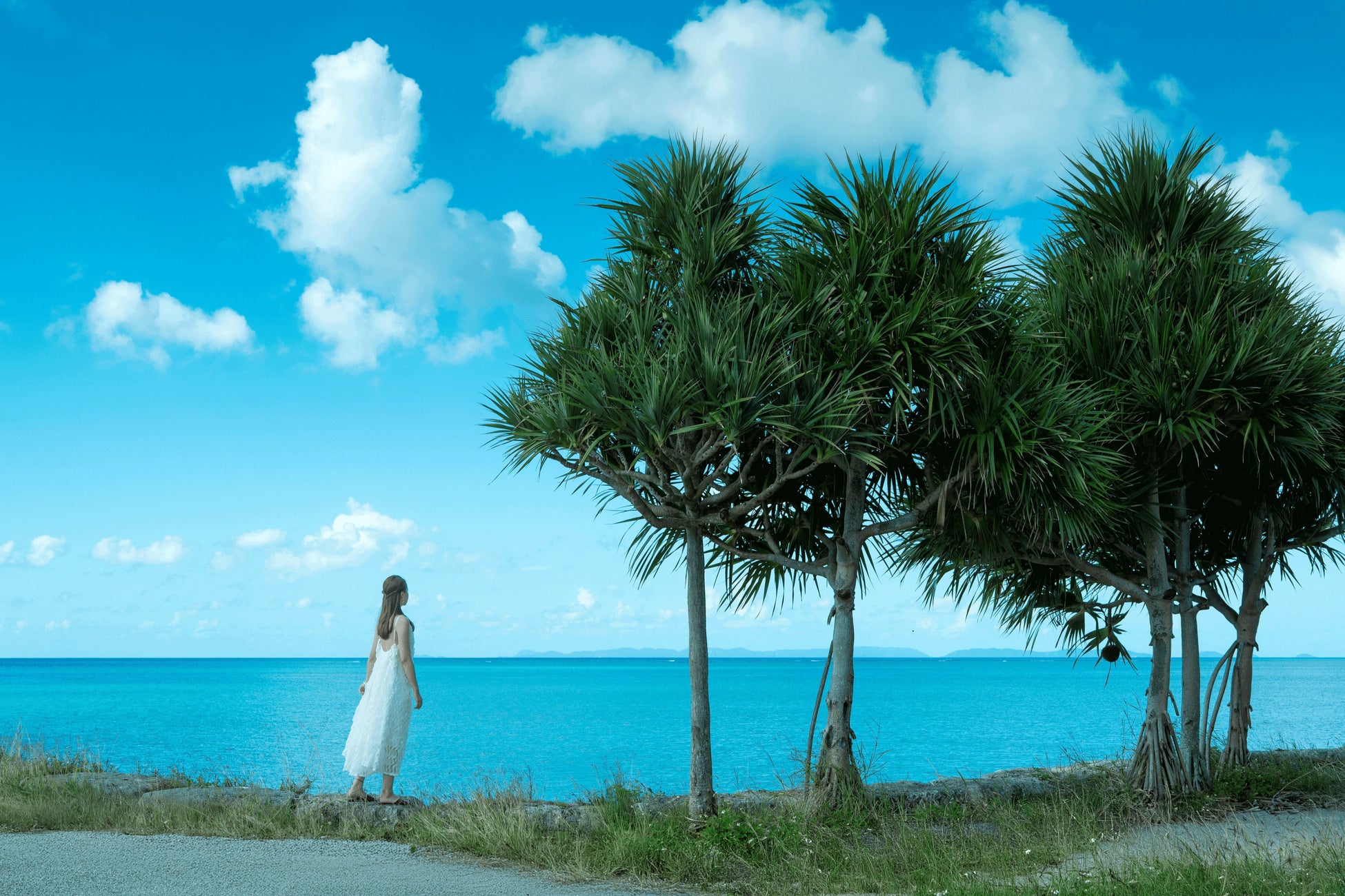 【オリエンタルホテルズ＆リゾーツ】「沖縄ハーバービューホテル」×「サザンビーチホテル＆リゾート沖縄」那覇のシティステイと糸満のビーチリゾートを一度に満喫。宿泊者限定の相互利用特典を3月より開始