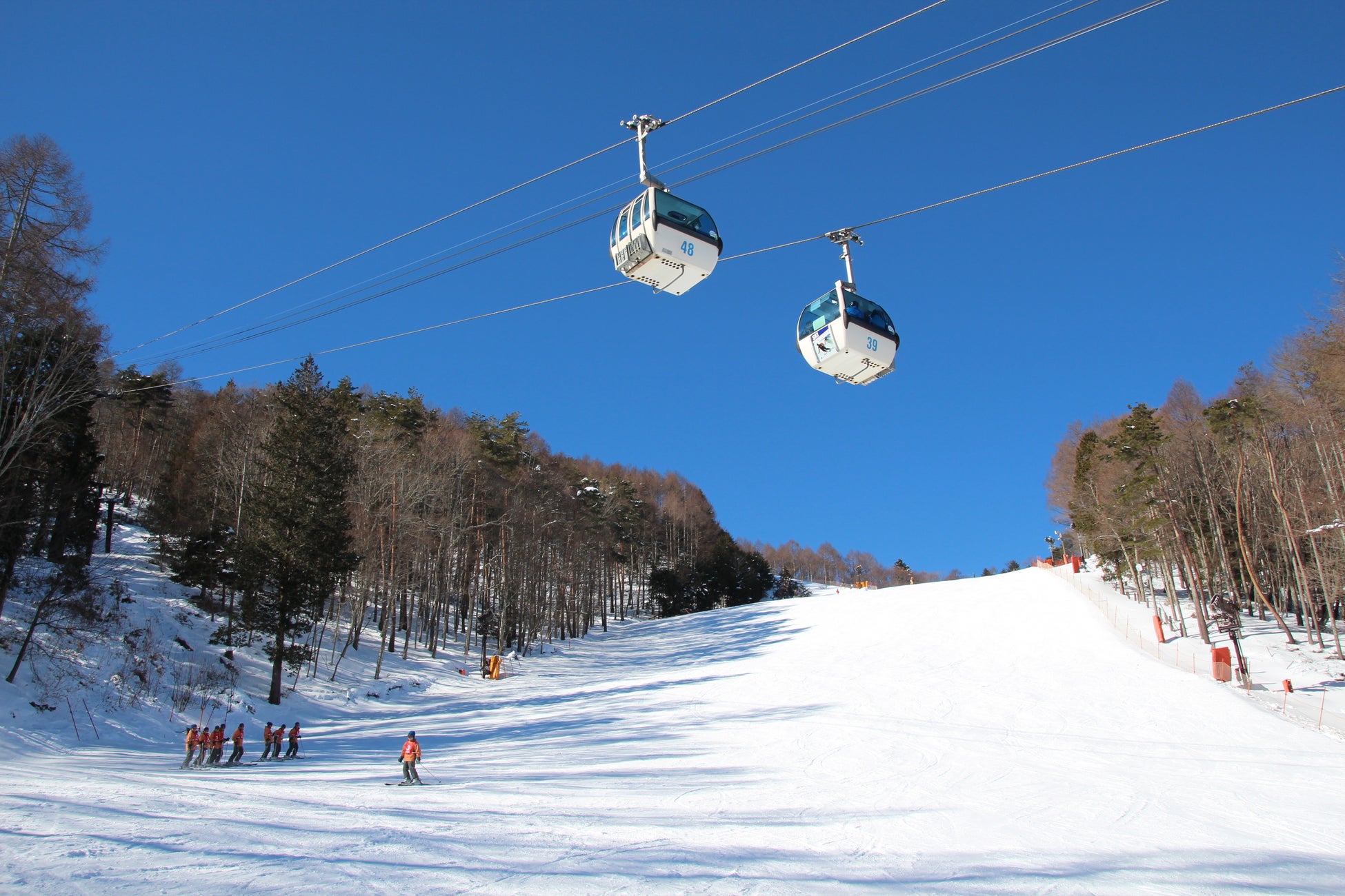 長野・富士見町｜スキーと入笠山スノートレッキング、目的に合わせて選べる冬の楽しみ方