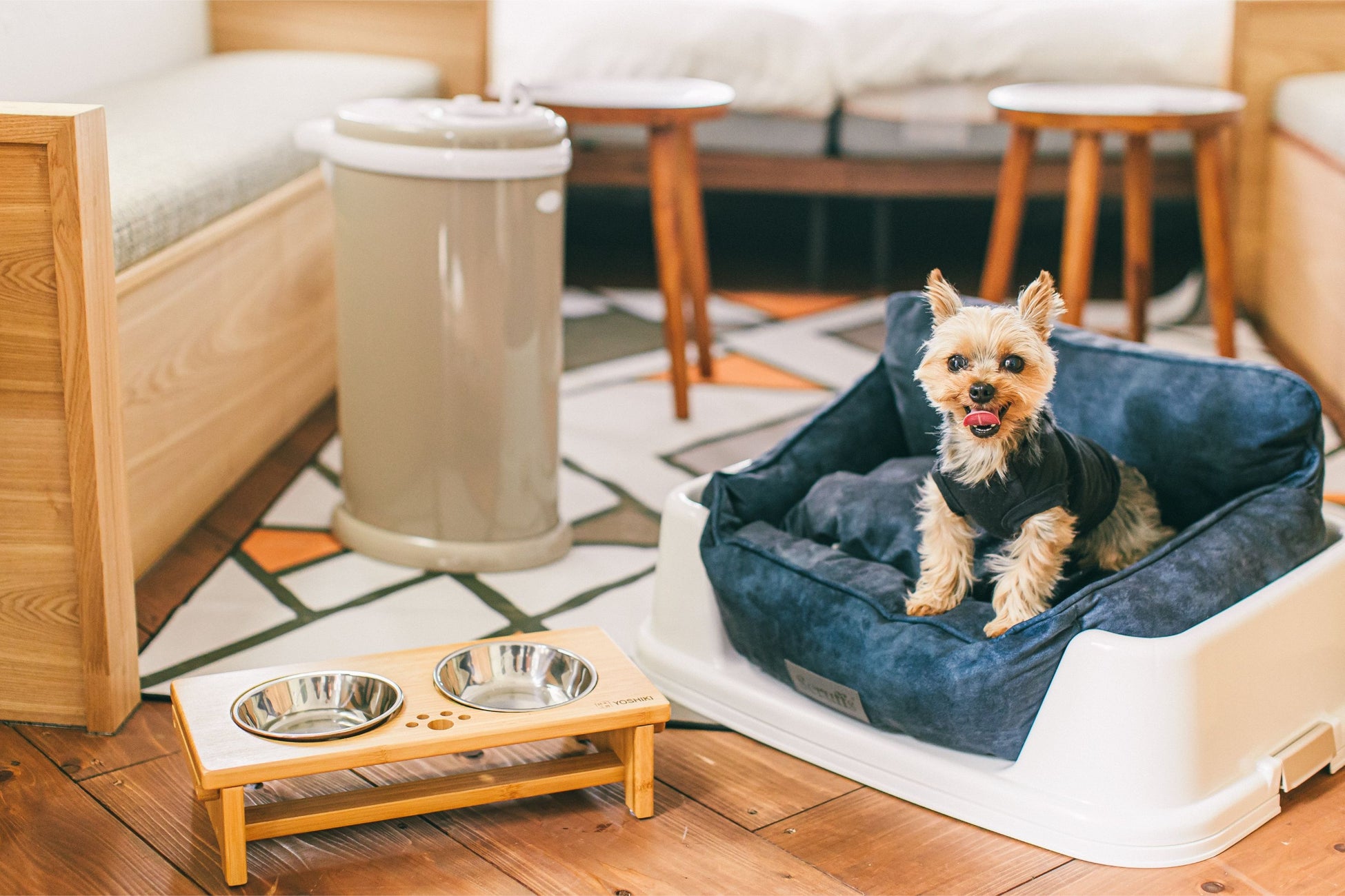 愛犬と一緒に”日本一おいしいグランピング”を！浜名湖パームスプリングスのペット同伴プランが1周年記念価格で登場！