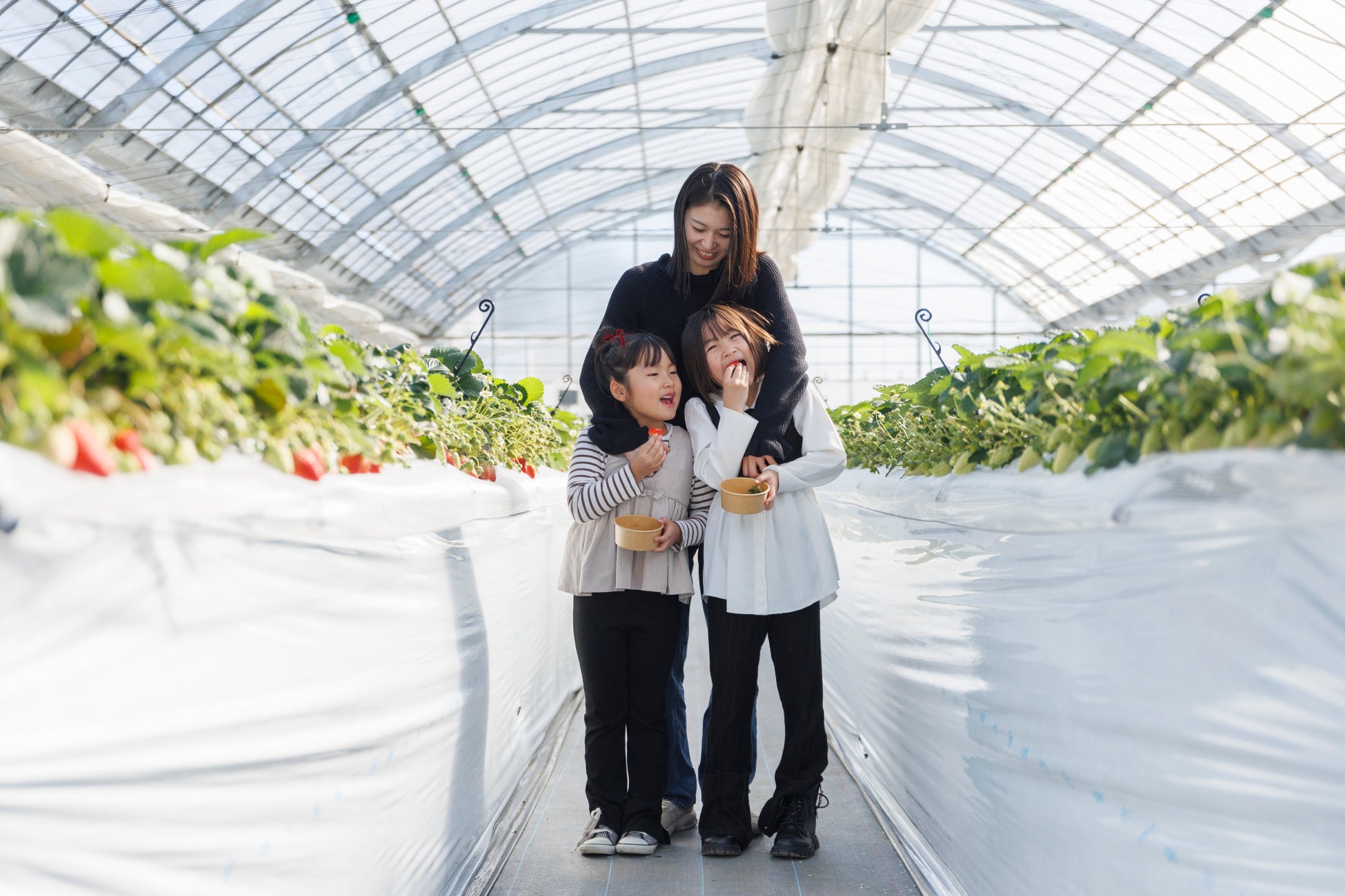 船旅から始まる、南鹿児島との新しい出会い　商船三井さんふらわあ「さんふらわあがつなぐ地域の魅力 南鹿児島編」ディスティネーションキャンペーン開催のお知らせ