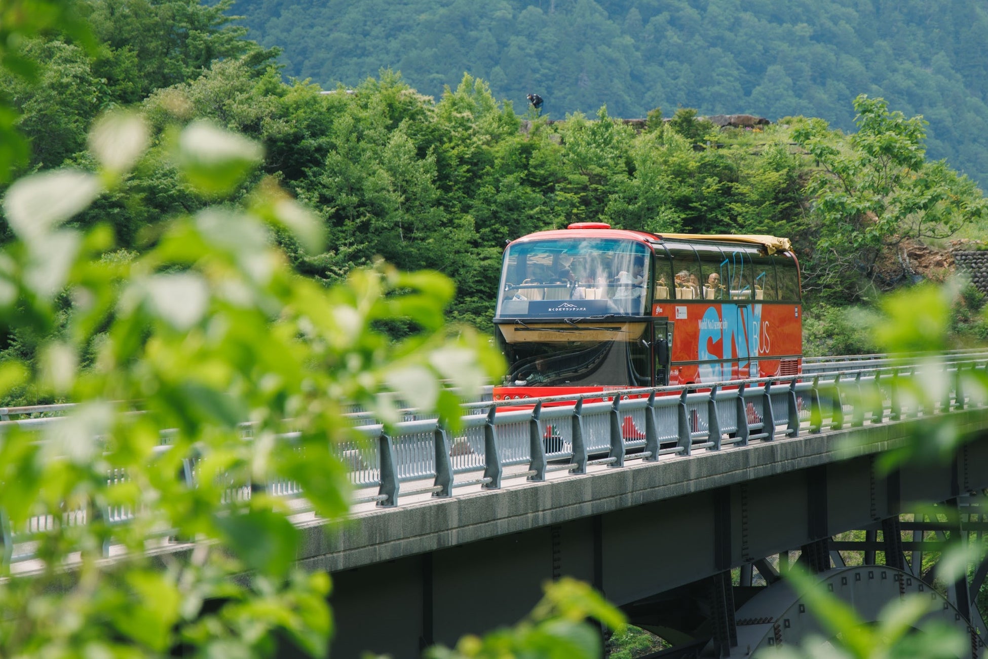運行2年目！地元小学生が名付けた「おくひだマウンテンバス」が、2026年は新緑シーズンに運行決定