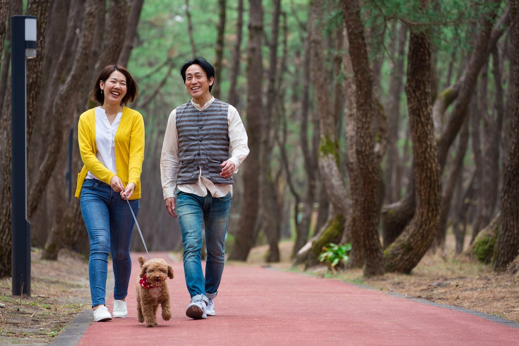 JAL SAPPORO MUSIC EXPERIENCE 2026 オフィシャルツアー 2月12日（木）発売開始！開演前のステージに上がる特別な体験を！