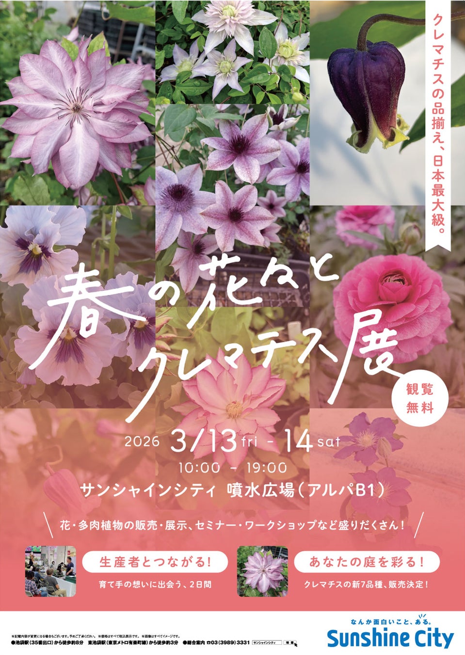 サンシャインシティ 春の花々とクレマチス展2026