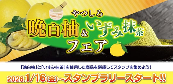 【第2回抽選受付開始】八代の味覚がギュッと詰まった。やつしろ「晩白柚・いずみ抹茶」フェア大好評開催中！八代市内の参加店舗27事業者・物産館で対象商品 提供中（1/16〜2/28）