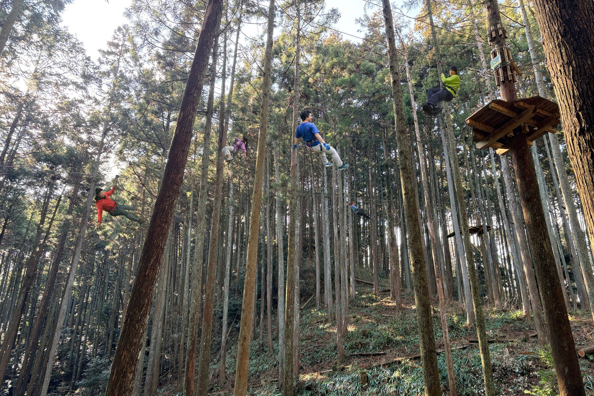 300年の森を　“飛びまわる”　“駆け抜ける”