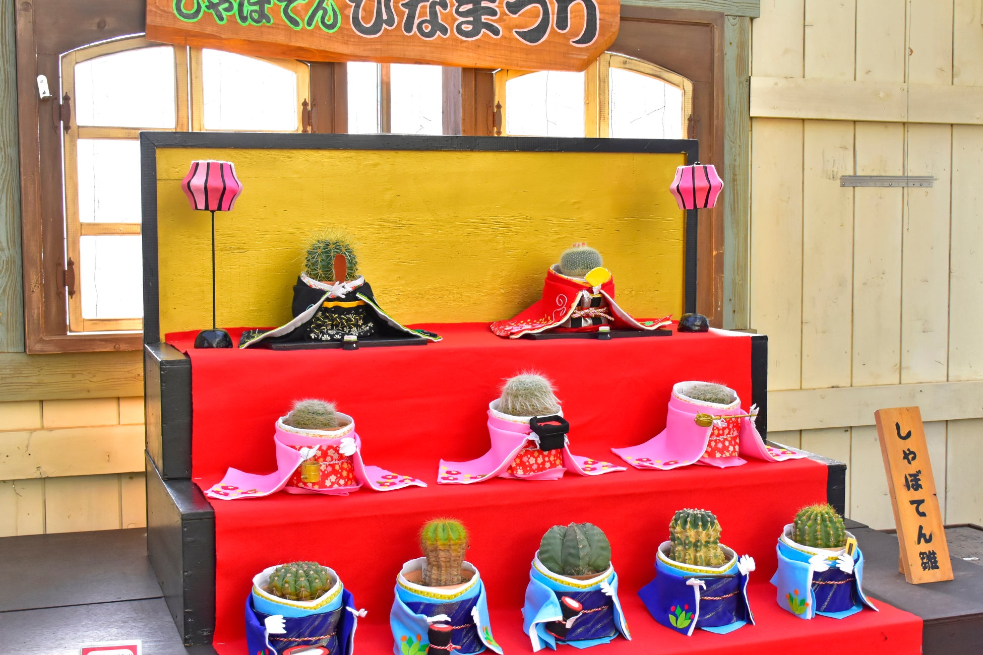 伊豆シャボテン動物公園の“春の風物詩”！ 世にも珍しい、ひな祭りの装束を着たサボテンが登場する 第十三回「しゃぼてんひなまつり」を開催