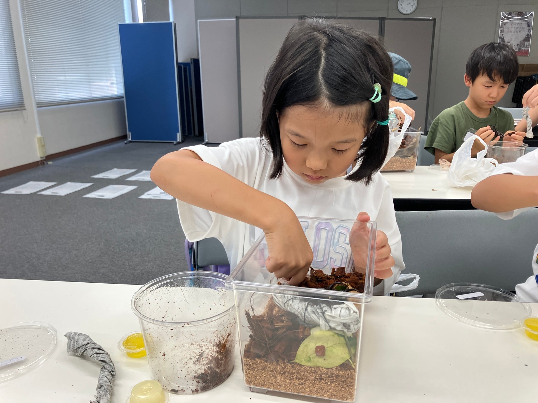 【こどもの休日の過ごし方】ファーブル昆虫教室　～オオククワガタ編～