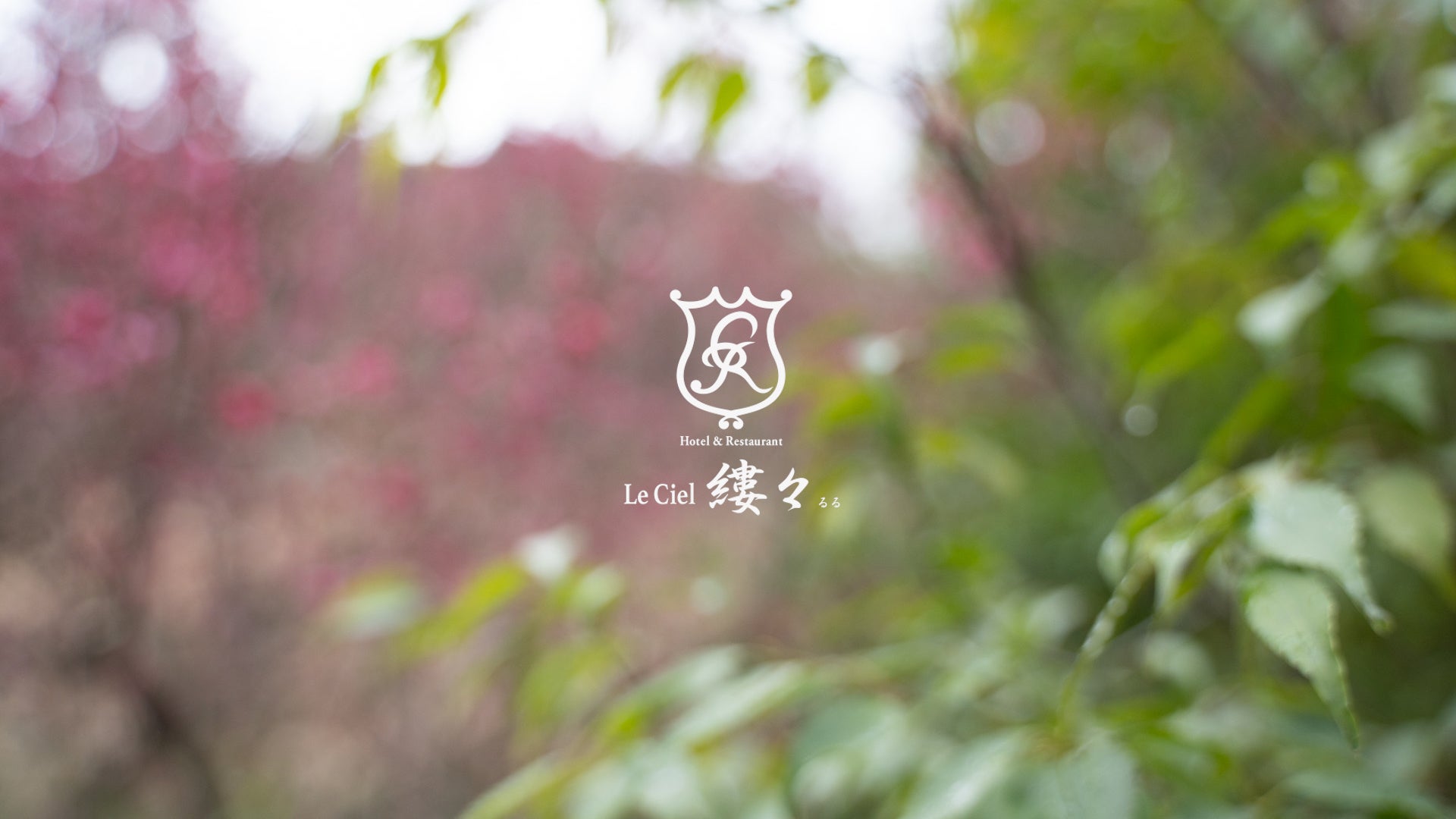 NOT A HOTEL、シリーズCおよびデットファイナンスにより総額101億円の資金調達を実施