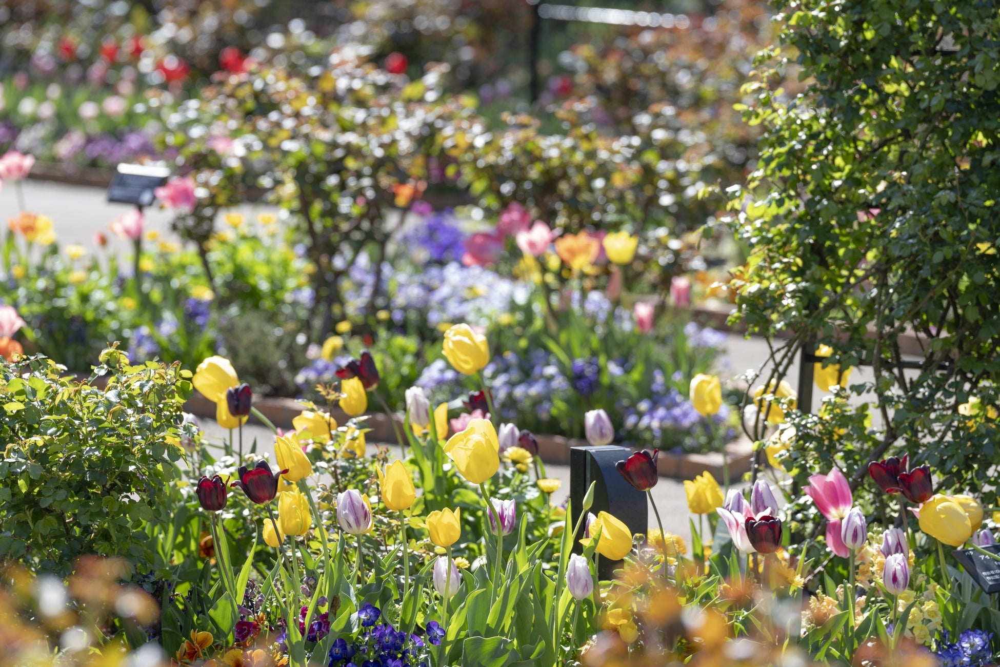 【当日手荷物配送 APEX24】都内ラグジュアリーホテルにて「コンシェルジュ連携型」の新運用を開始