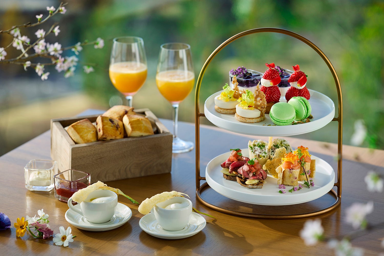 【仙台うみの杜水族館】開館10周年イヤーのフィナーレを飾るのは、エリック・カールコラボ!エリック・カールとうみの杜のなかまたち~見て、探して、あそぼう~【2026年3月6日(金)~5月31日(日)】