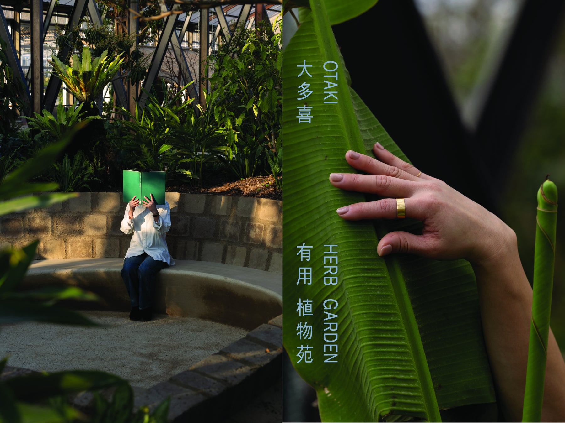 「大多喜有用植物苑」2026年2月20日（金）に開苑