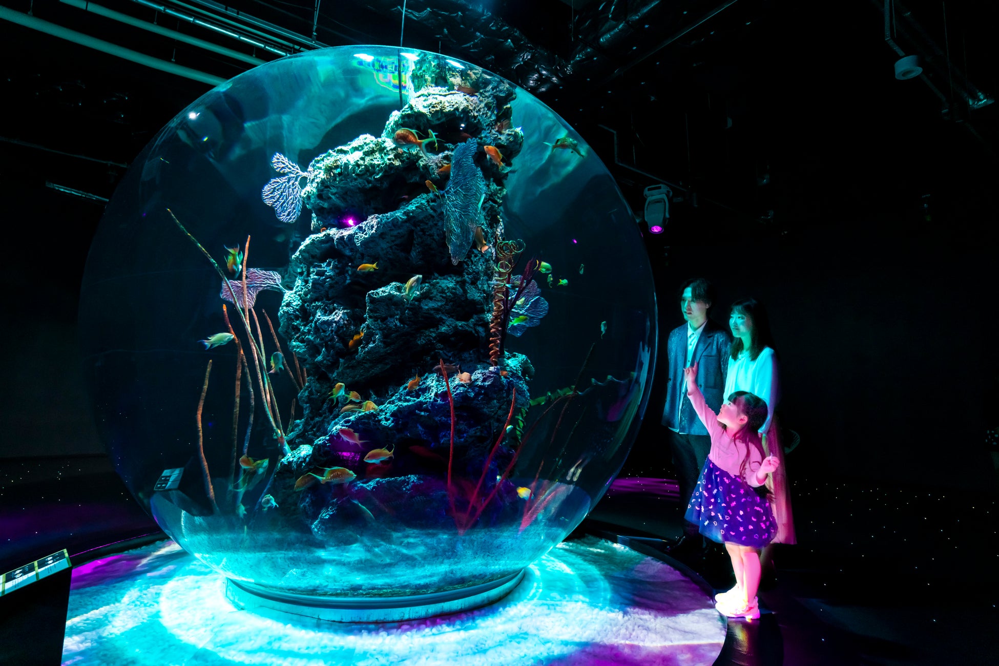 【都リゾート 志摩 ベイサイドテラス】館内を彩ってきた花を、ゲストの時間へと引き継ぐ新たな取り組みを開始