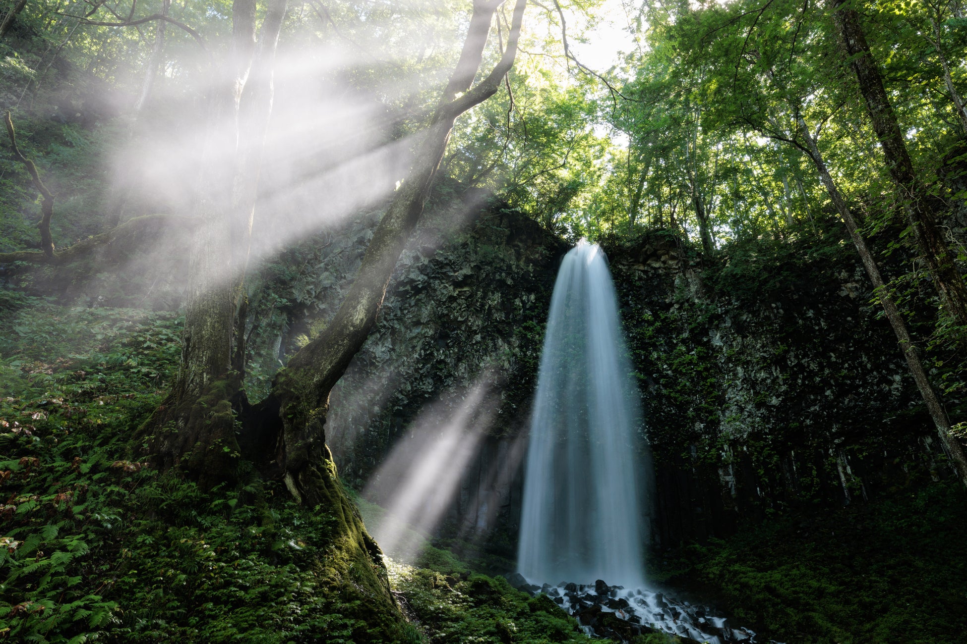 「第39回十和田湖の四季写真コンテスト」結果発表