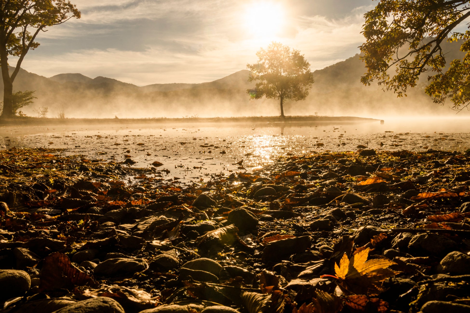 第39回十和田湖の四季写真コンテスト、入賞作品が2月28日より約2ヶ月間展示