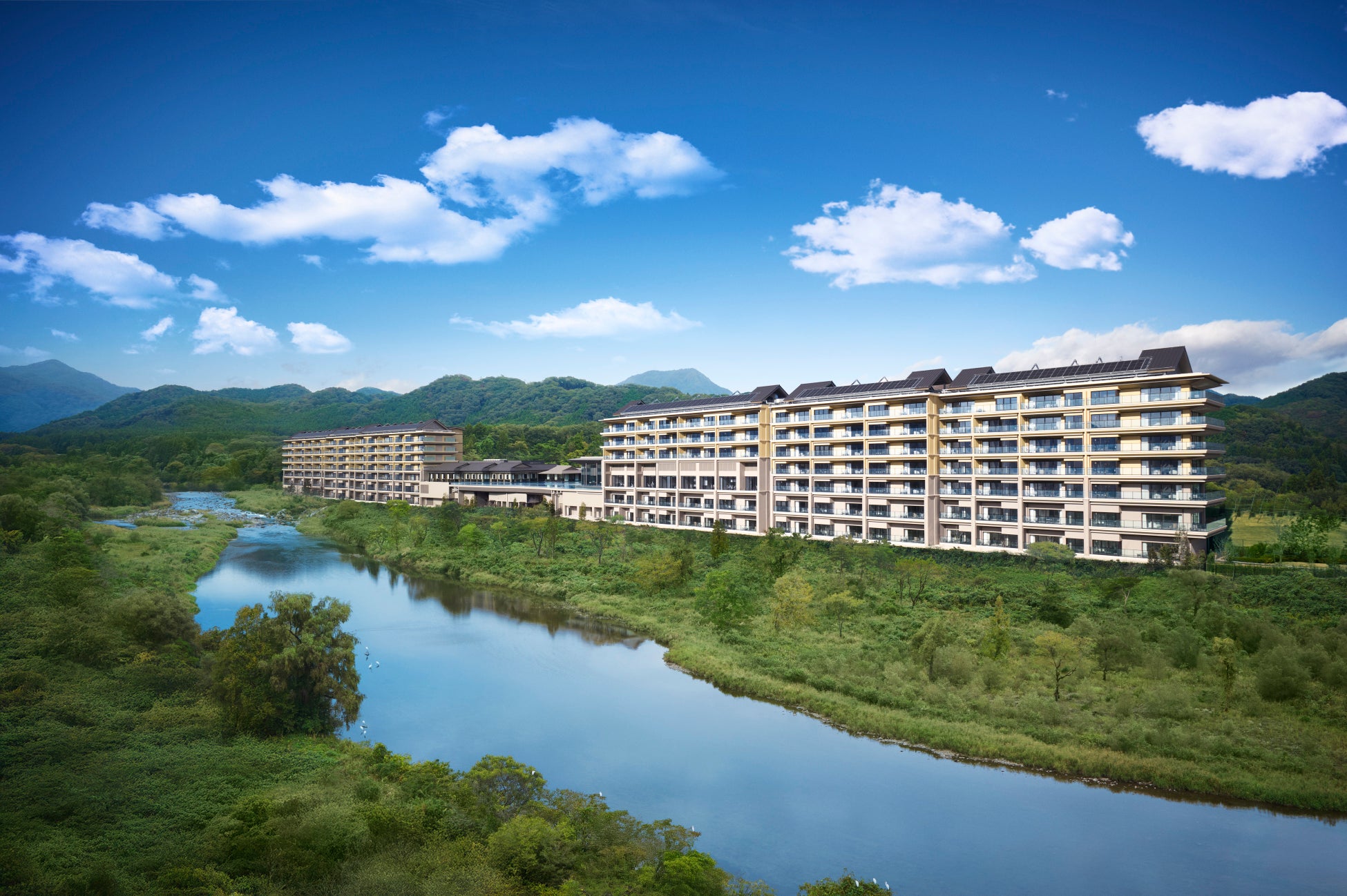 マクセル アクアパーク品川、生きものと楽しむ「幻想的なお花見アート」桜に包まれるフォトジェニックな没入空間へ