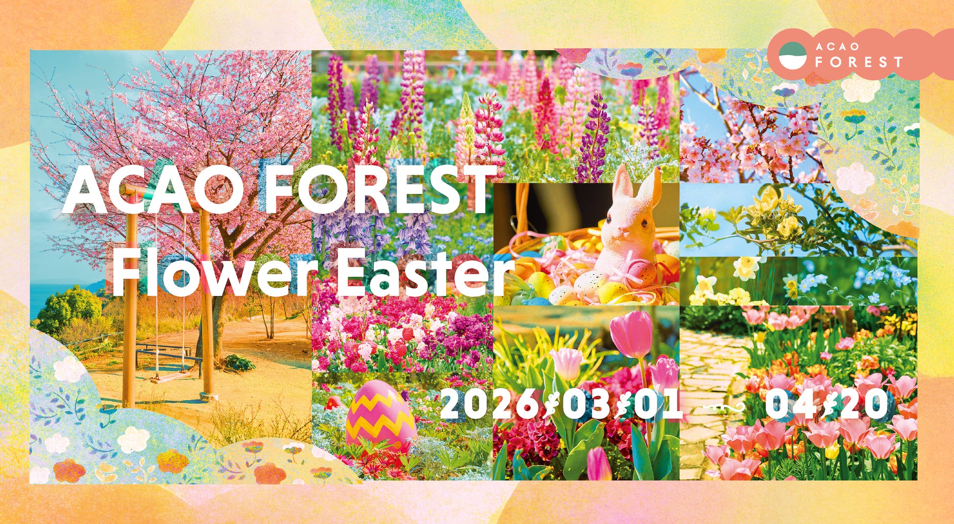 約70品種・3万球のチューリップが春を通して園内を彩る「ACAO FOREST – Flower Easter -」2026年３月1日（日）より開催！