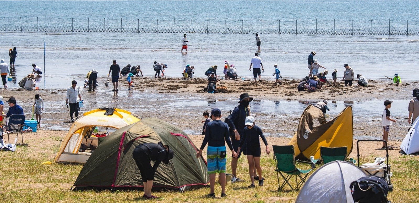 【プルマン東京田町】窓一面に広がる桜を望む春の夜「夜桜ハイティー」で37種類のフリーフローとともに春の食材を心ゆくまで