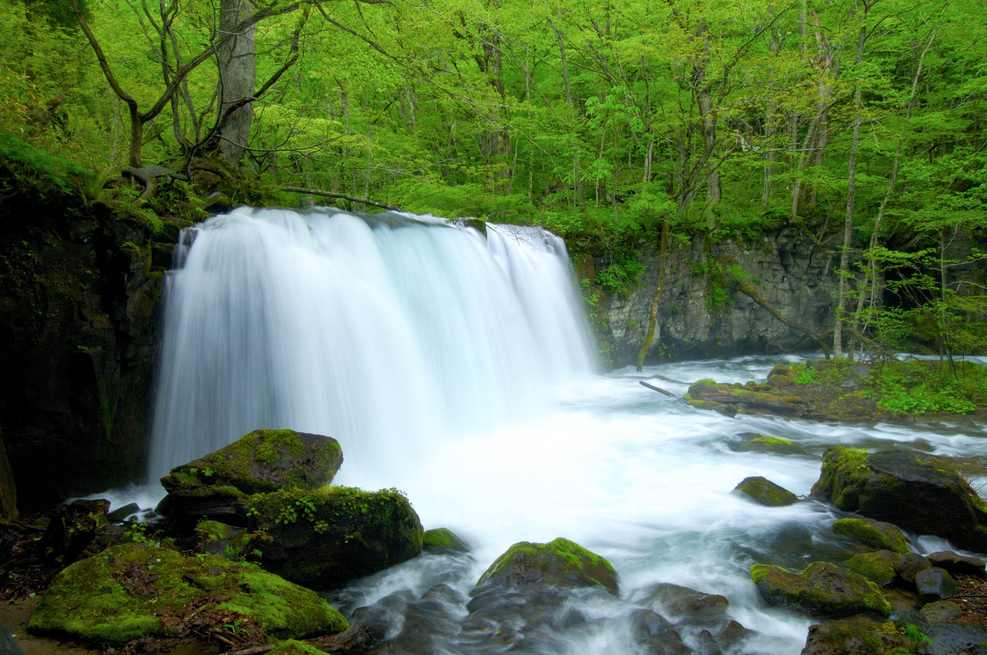 NSDキッズプログラム、及び、鹿島槍スキー場ファミリーパーク人気動画チャンネル「HikakinTV」とのタイアップ動画を公開