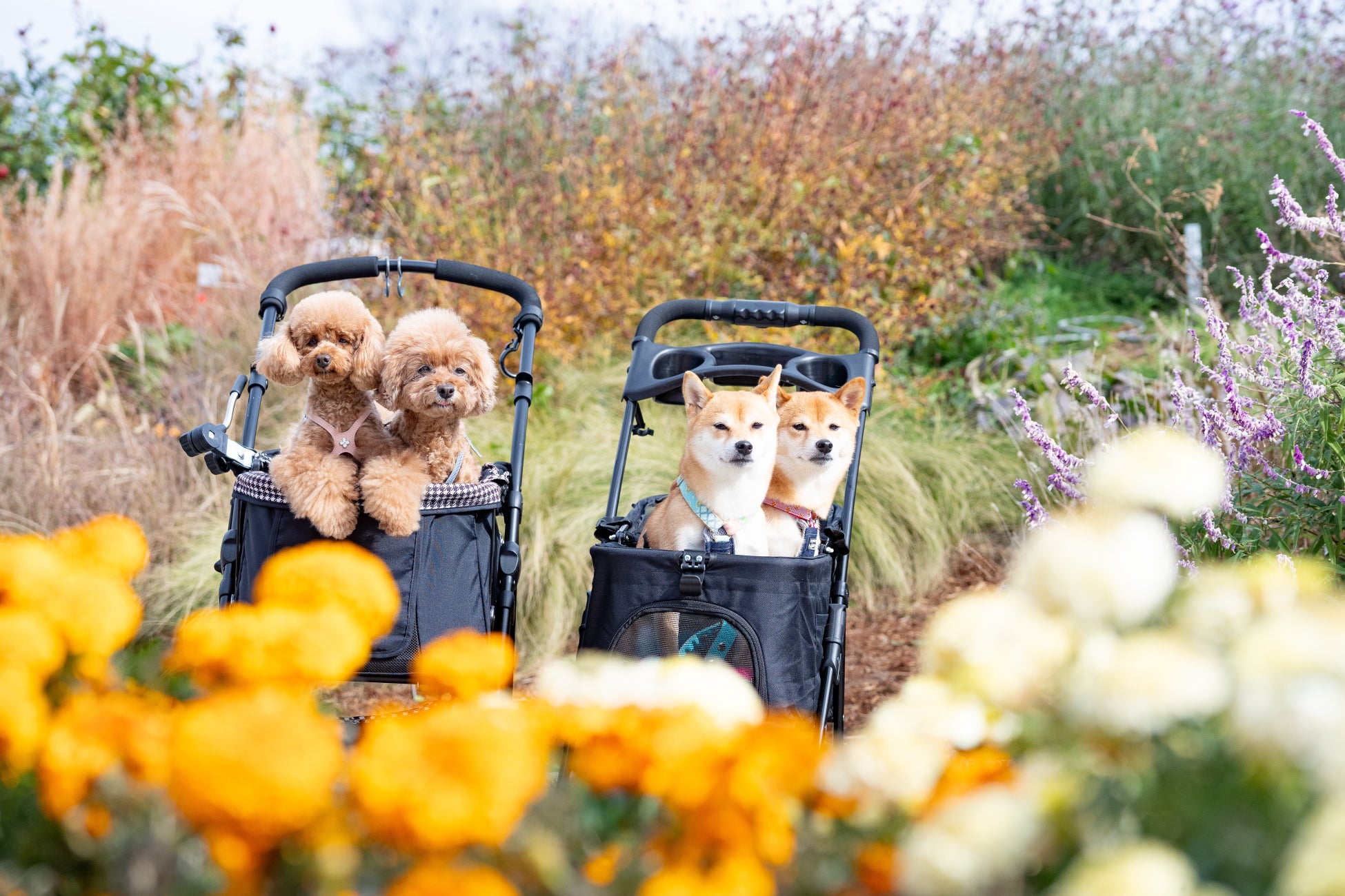 【JWマリオット・ホテル奈良】「フォーブス・トラベルガイド2026」において奈良県唯一、4年連続4つ星を獲得