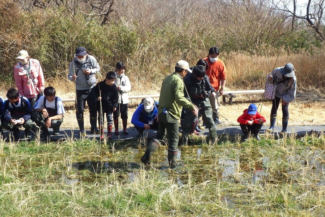 「ニホンアカガエルの卵をさがそう」を開催します（国営ひたち海浜公園）