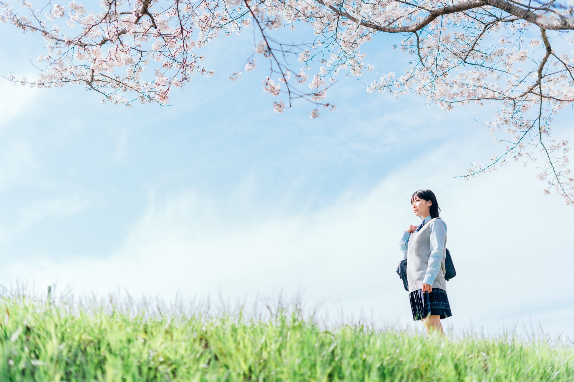 りんごを活用したポムポムフェアで、卒業・入学・新たな門出をお祝いする期間限定プランを販売【雫石プリンスホテル】