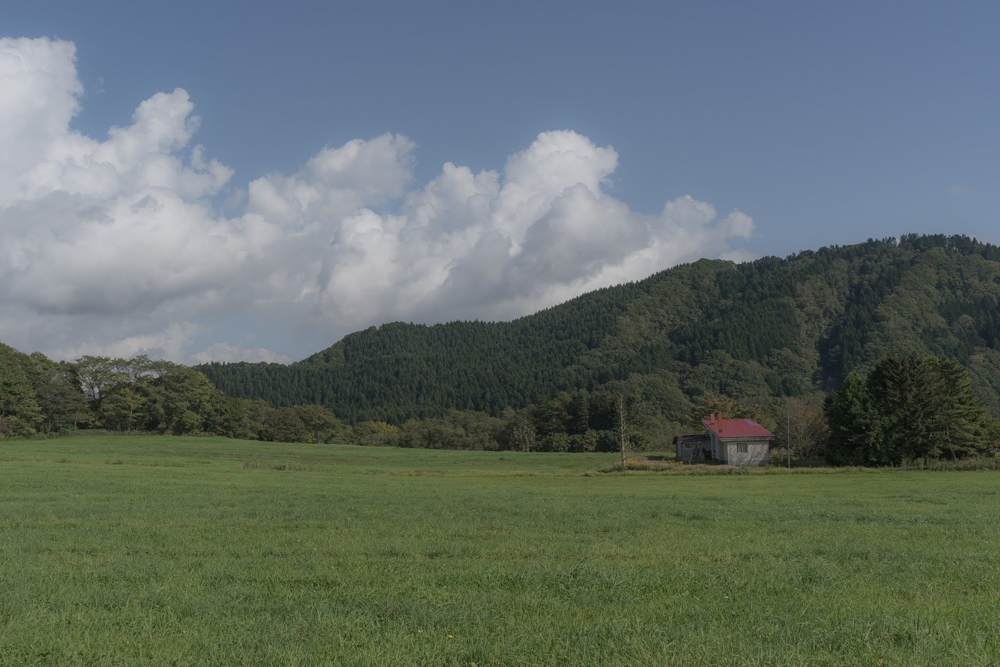 海と大地が育む「豊かな暮らし」。八雲町で行う親子留学プログラムが新たな感動を提供いたします。