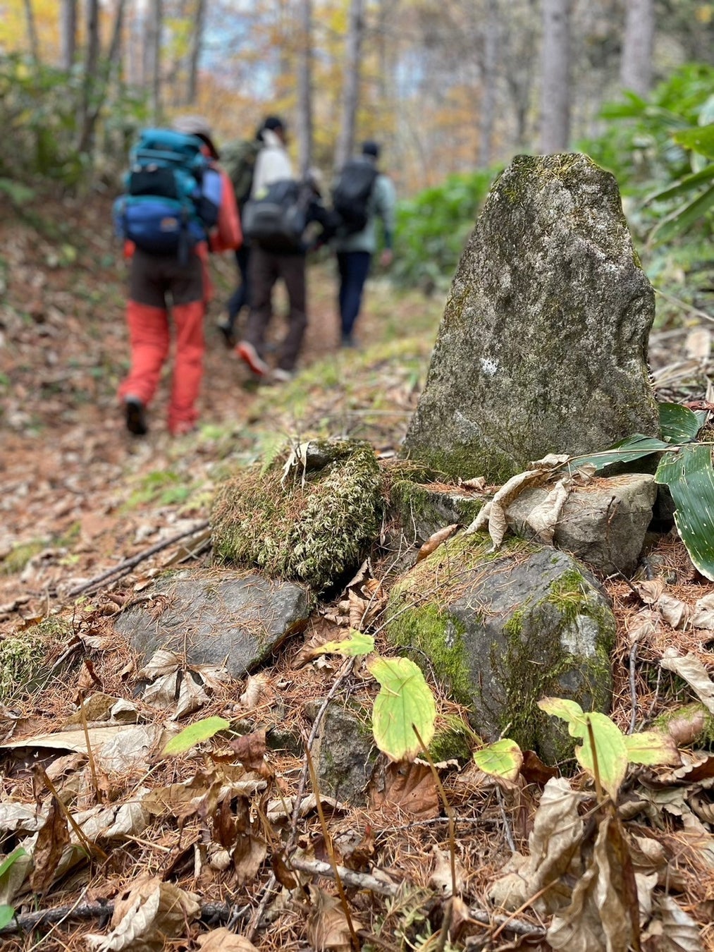 「歴史街道・野麦古道トレッキングツアー」2026年度の宿泊付きツアーリクエストの受付開始！