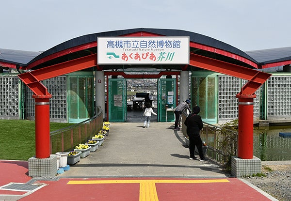 春休みに自然と触れ合おう 高槻市の自然博物館でフェスタ開催