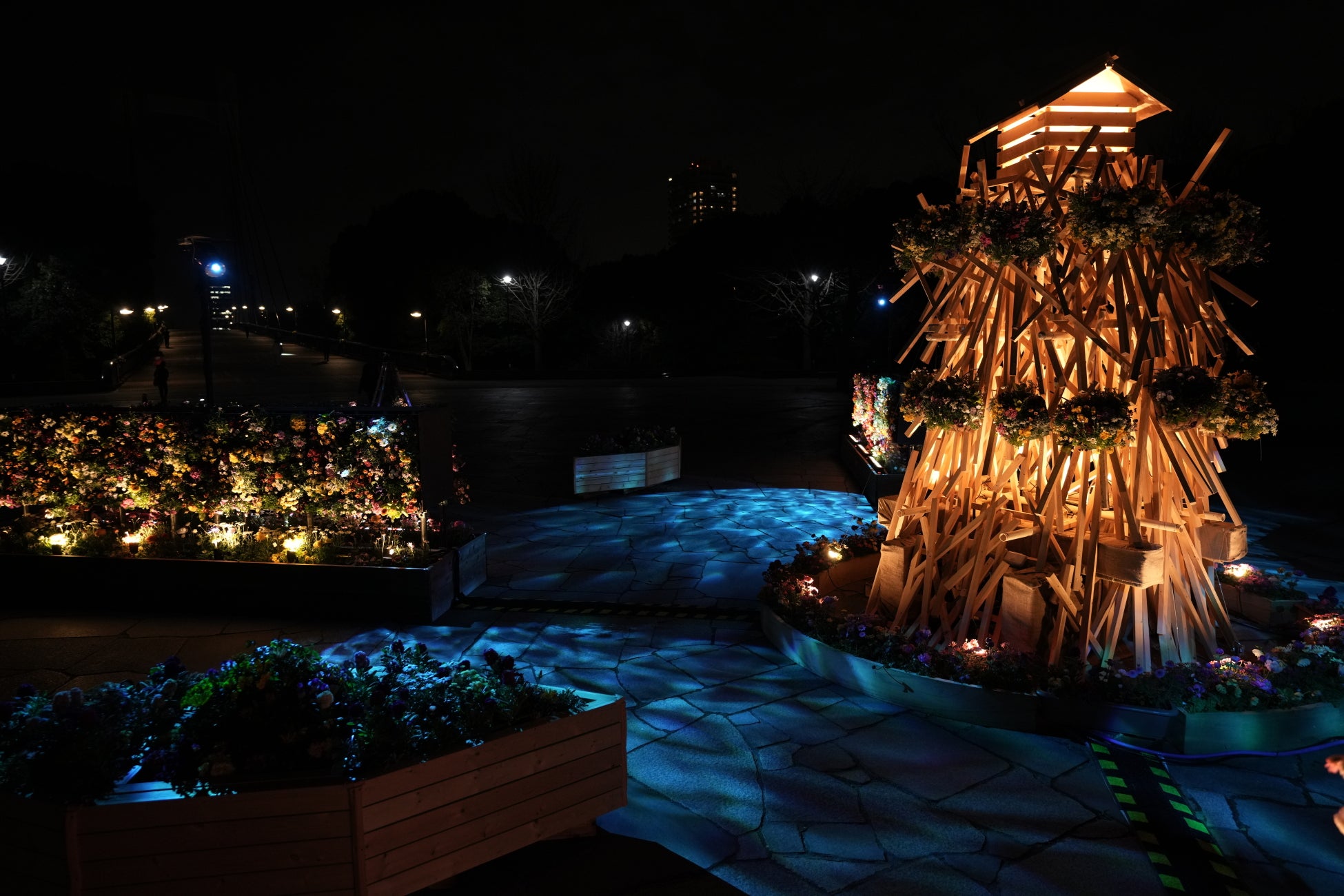 【東京・木場公園】咲き誇る桜と光り輝く立体花壇。高さ3.5m「角材の常夜灯」が誘う早春の花のイルミネーション。地域の園児も花植えに参加、日中も夜も美しい「光と花の17日間」が開始！