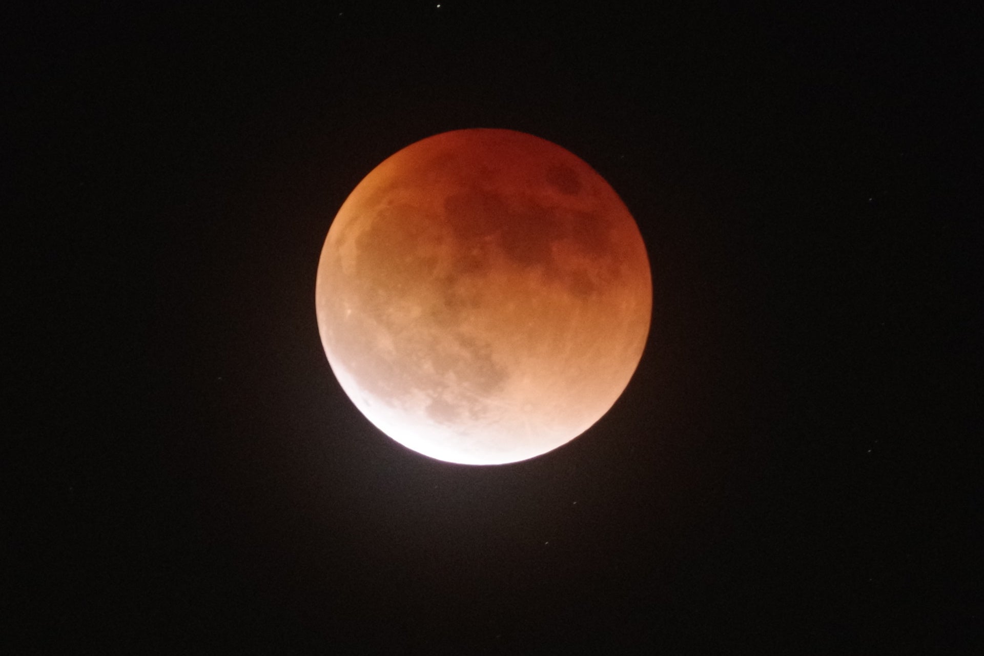 【南道後温泉ホテルていれぎ館】プレミアムスイートの料金改定と最大20％OFFキャンペーンを実施