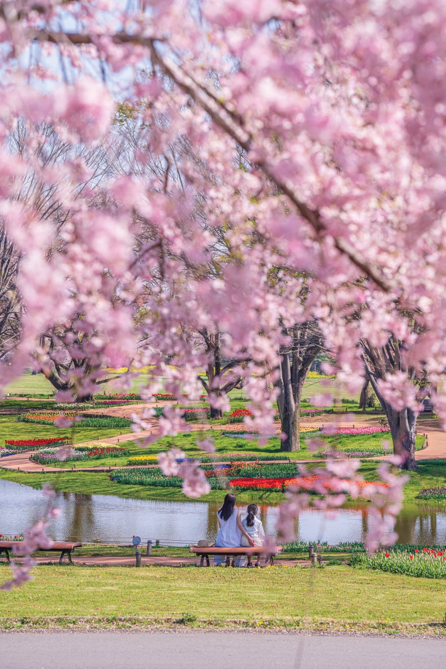 「フラワーフェスティバル2026」を開催します！（国営昭和記念公園）