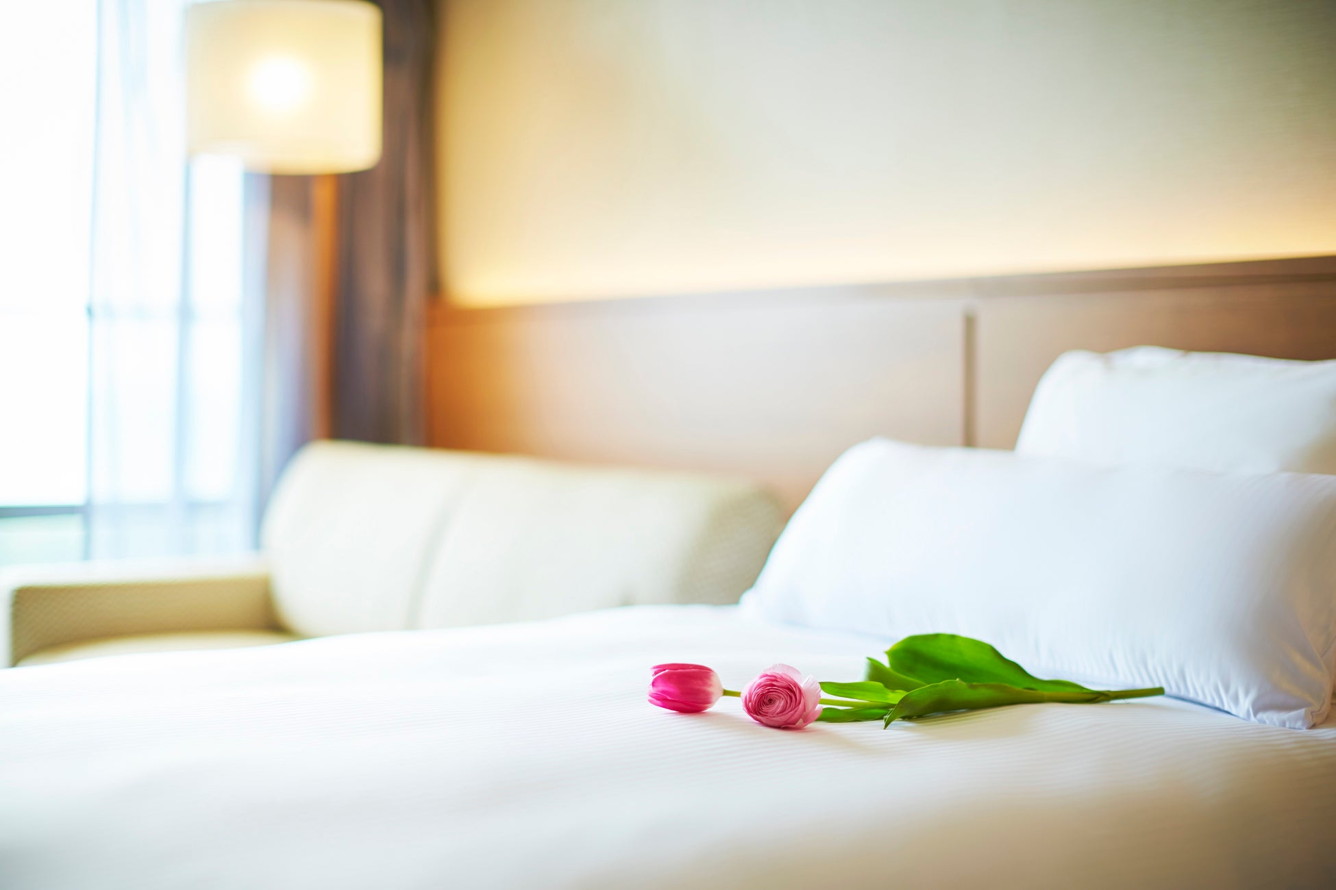 2026年、シアトルとその周辺で試してみたいアウトドア体験