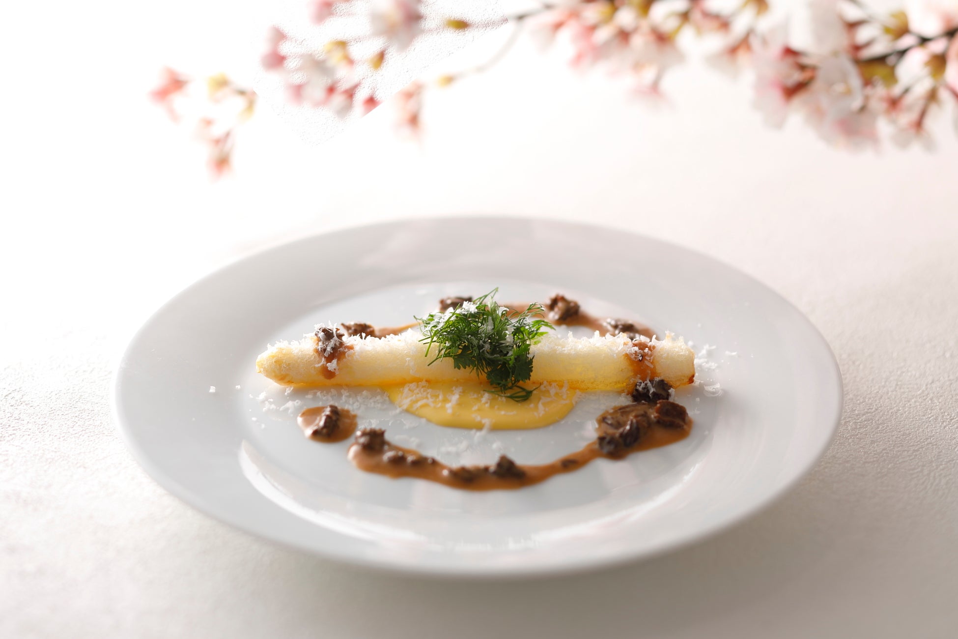 地上144mで堪能！春を告ぐ、ホワイトアスパラと桜海老。