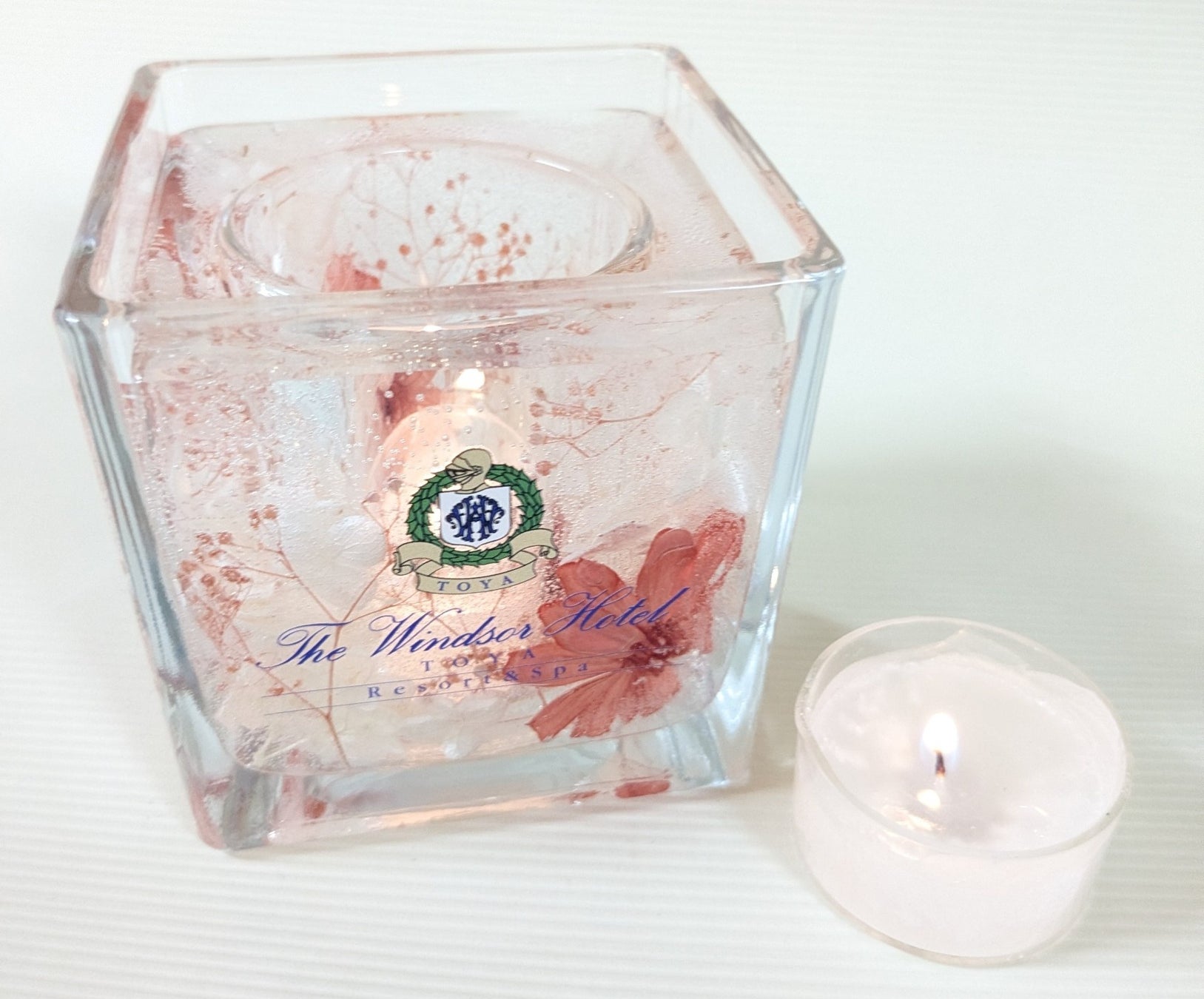 海外eSIMアプリ「トリファ」、ANA・JALマイル交換に対応