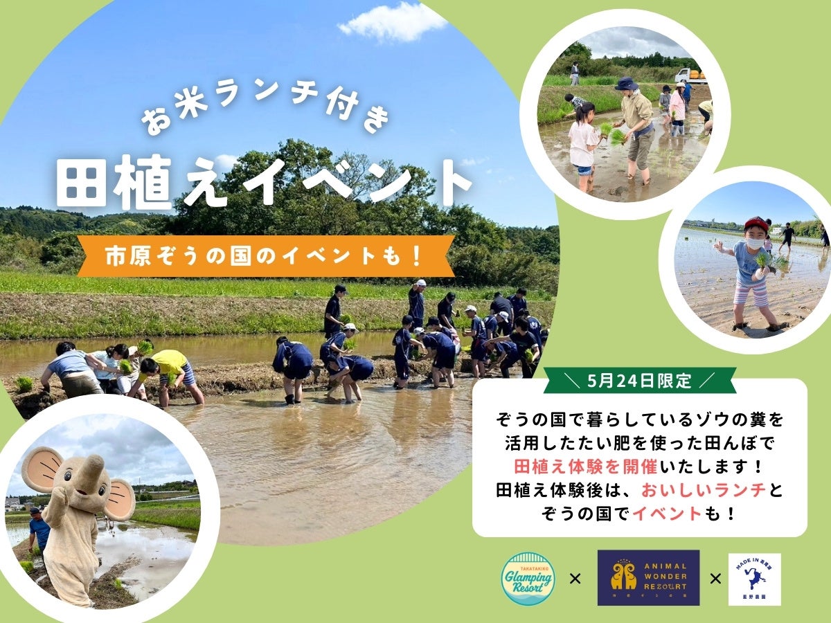 田植えイベント開催のお知らせ SDGs実践！ぞうさんのうんち堆肥を活用した循環型田んぼプロジェクト｜市原ぞうの国 × 星野農園高滝湖 × スースー・アグリ × 高滝湖グランピングリゾート