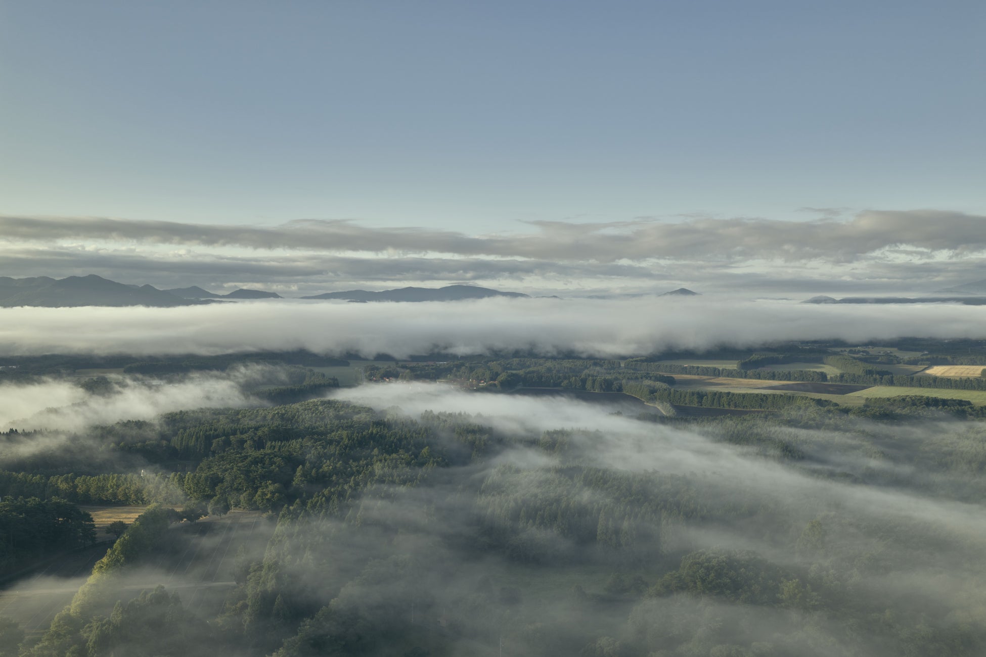 ヒレー！ヒレー！ヒレがあればなんでもできる　北海道の新⽣活を⼤応援、『春のすいぞくかん 2026』を開催！