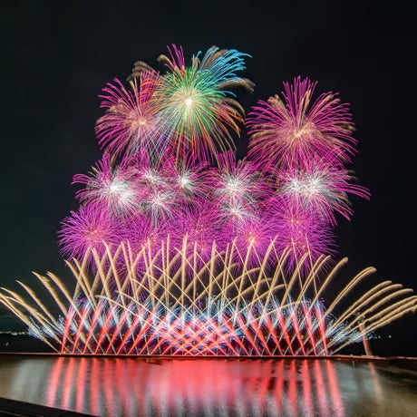 【4/11】福井県勝山市、桜満開のキャンプ場を無料開放。お花見イベント「モリノネカワノネ桜まつり」を開催