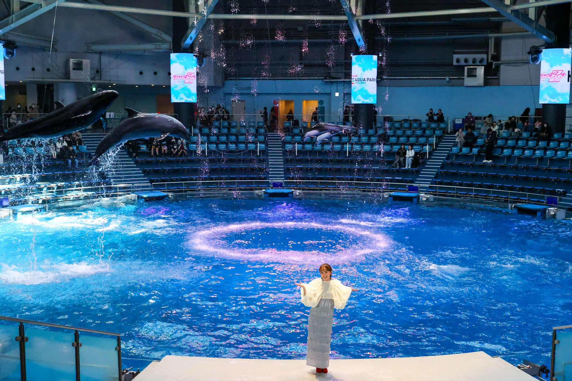 【マクセル アクアパーク品川】コラボ開催を記念し、イベント初日にももいろクローバーZ「百田夏菜子」さんが登場。スペシャルドルフィンパフォーマンスとトークセッションをお届けしました！