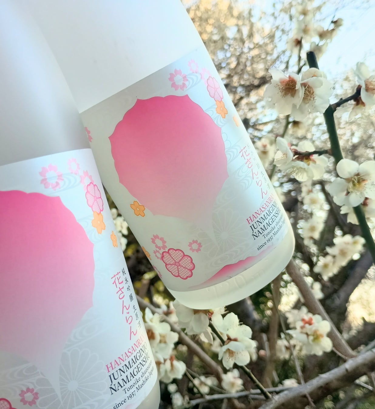 【本日先行オープン】上田温泉「ホテル祥園」再生プロジェクト｜宴会・食の拠点「SALO」が営業開始