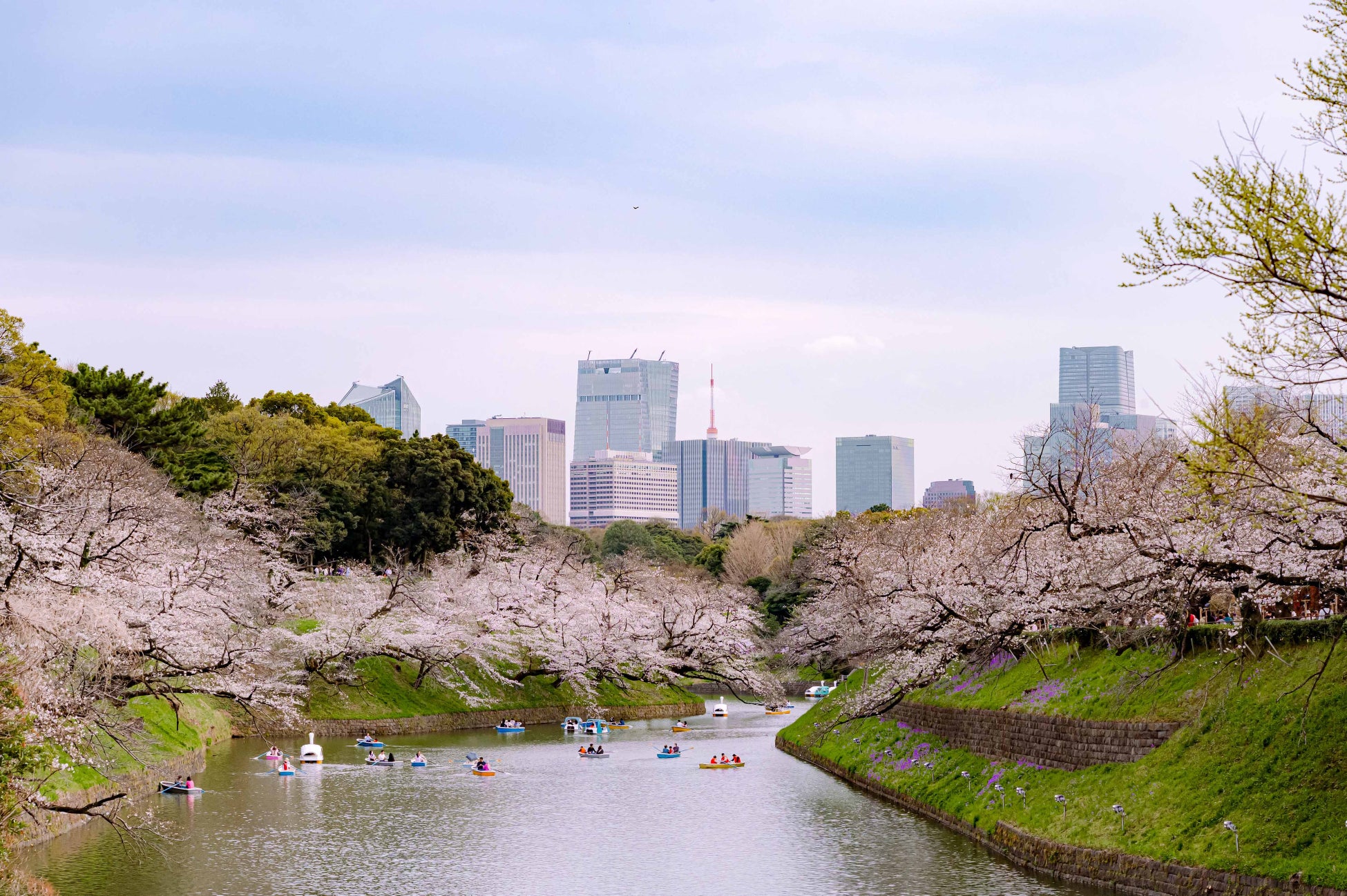 2泊3日のスタディツアーにヤシノミ洗剤がご招待!「海の今を見にいこう 大人の修学旅行in対馬キャンペーン2026」3月5日より募集開始