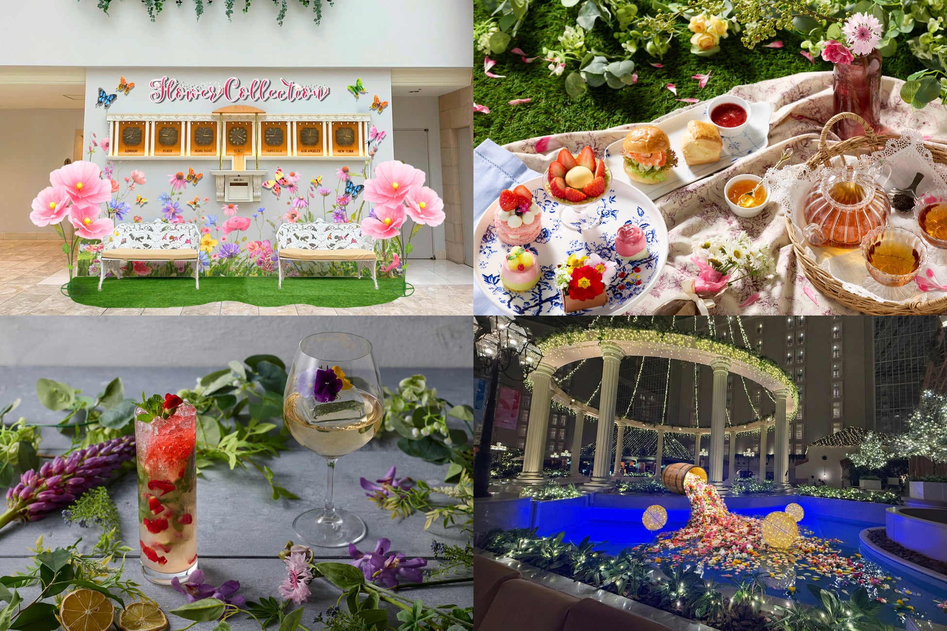 ～オーストラリア北東部、クイーンズランド州～生きている世界遺産“グレートバリアリーフ”を国内で紹介