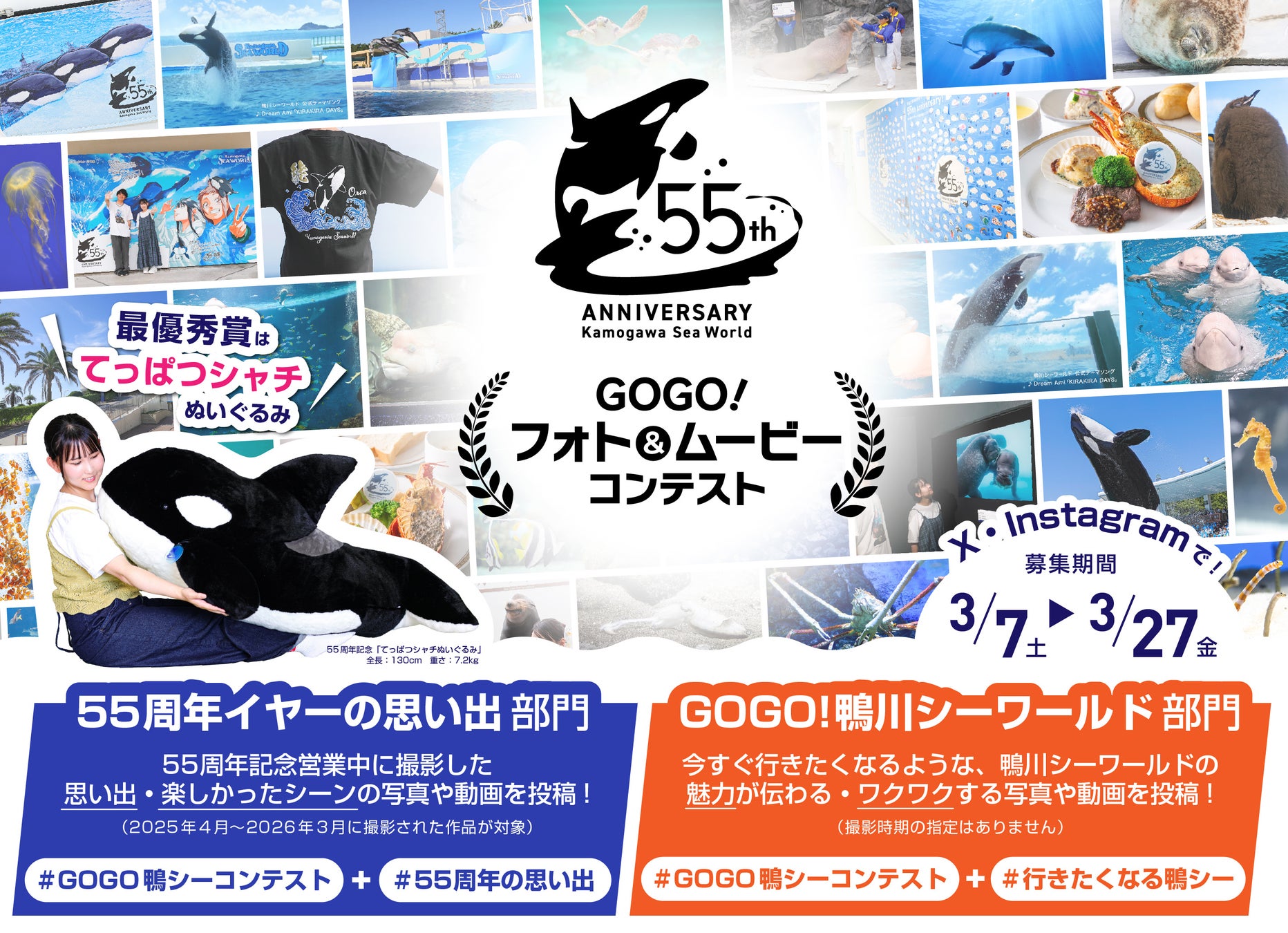 【鴨川シーワールド】最優秀賞受賞者には「てっぱつシャチぬいぐるみ」を贈呈！『GOGO！鴨川シーワールド フォト＆ムービーコンテスト』開催