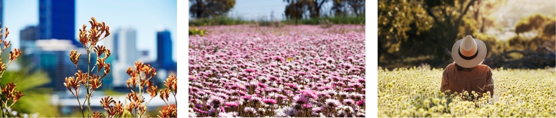 熱海に誕生する新たな邸宅。海を望むわずか５室のスモールラグジュアリー「UMITO 熱海 本邸」2026年3月5日第1期販売開始
